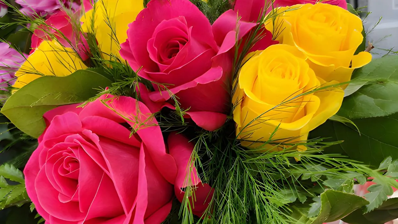 image de roses de plusieurs couleurs rose et jaunes en bouquets pour la page du site internet